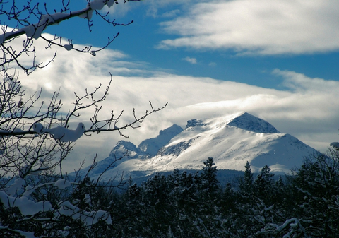 An image depicting the trail Autumn Creek South Trail via Fireband Pass Trail and its surrounding area.