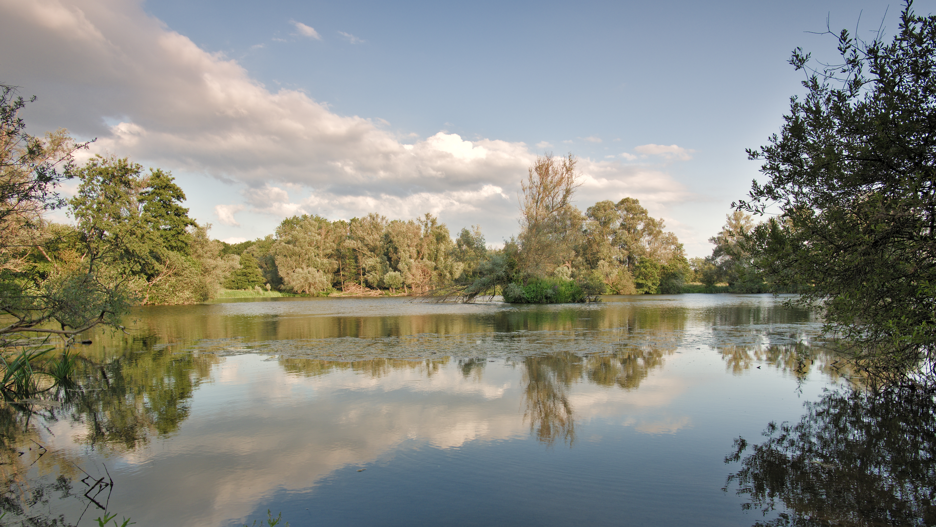 An image depicting the trail Oude Post Weg and Veenpad via Boomenland and Meeuwenvallei and its surrounding area.