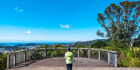 An image depicting the trail Te Ahumairangi Ridgeline Track and its surrounding area.