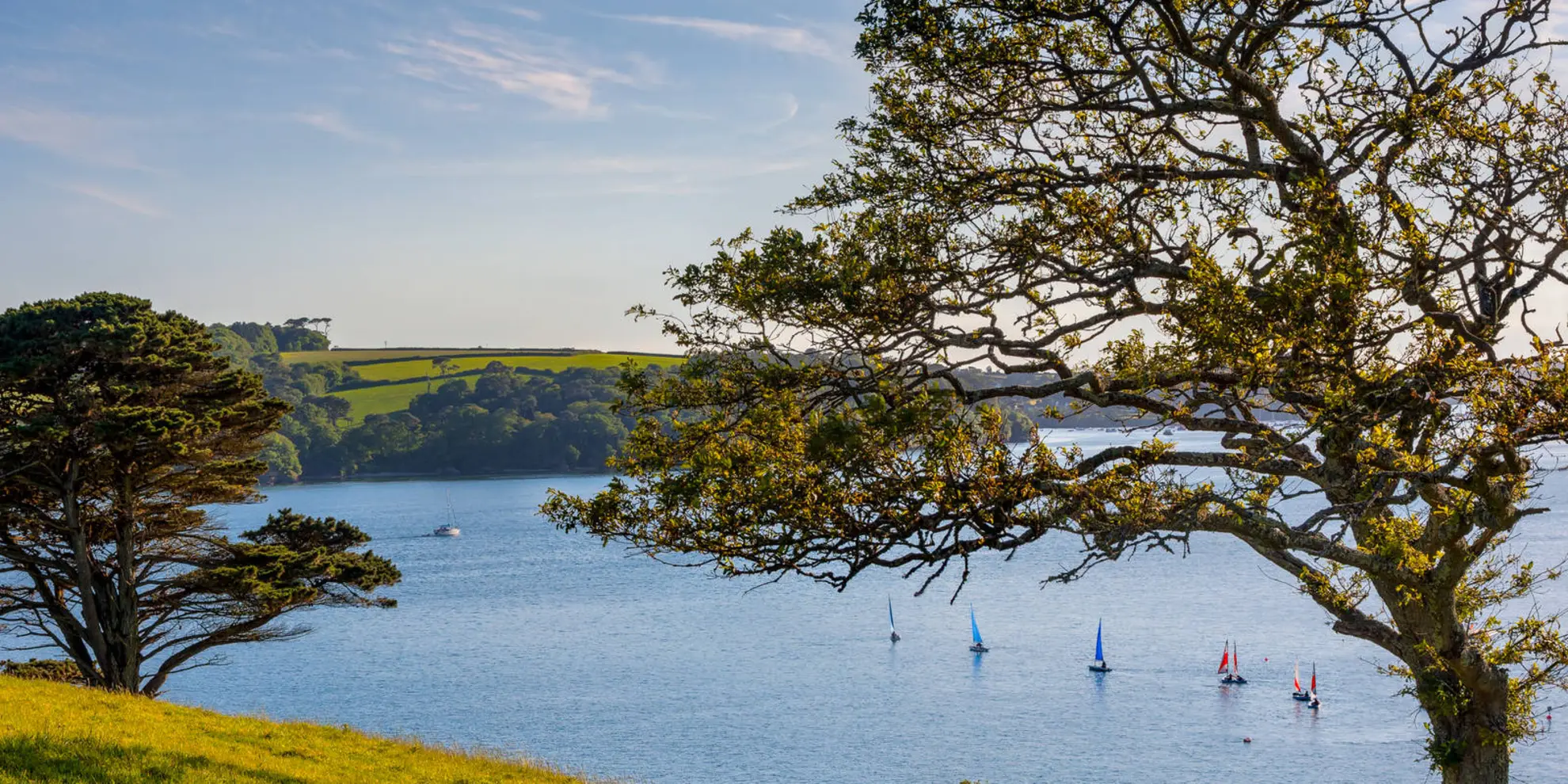 An image depicting the trail Rosemullion Head from Mawnan and its surrounding area.
