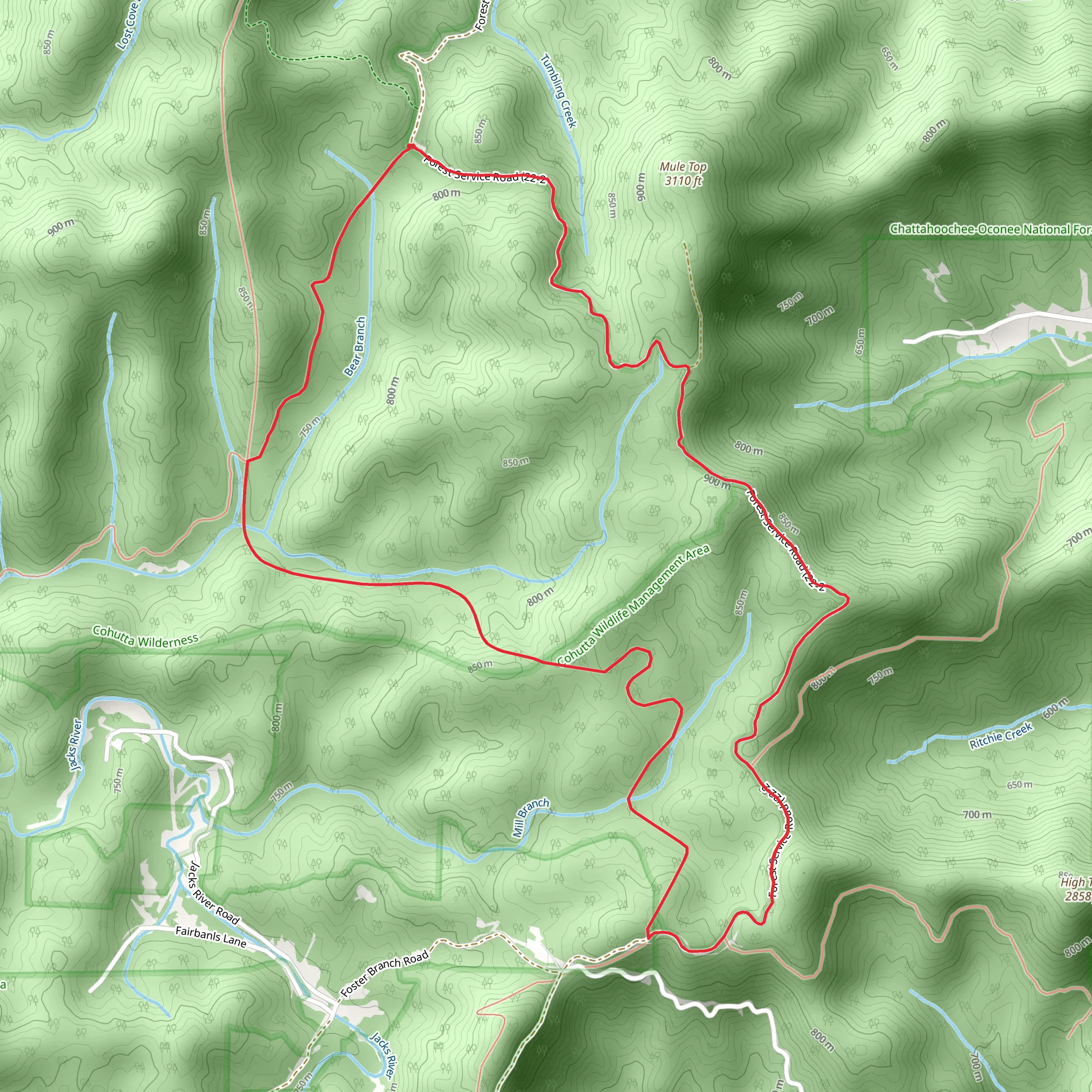 Benton MacKaye and Mill Branch Loop mobile static map