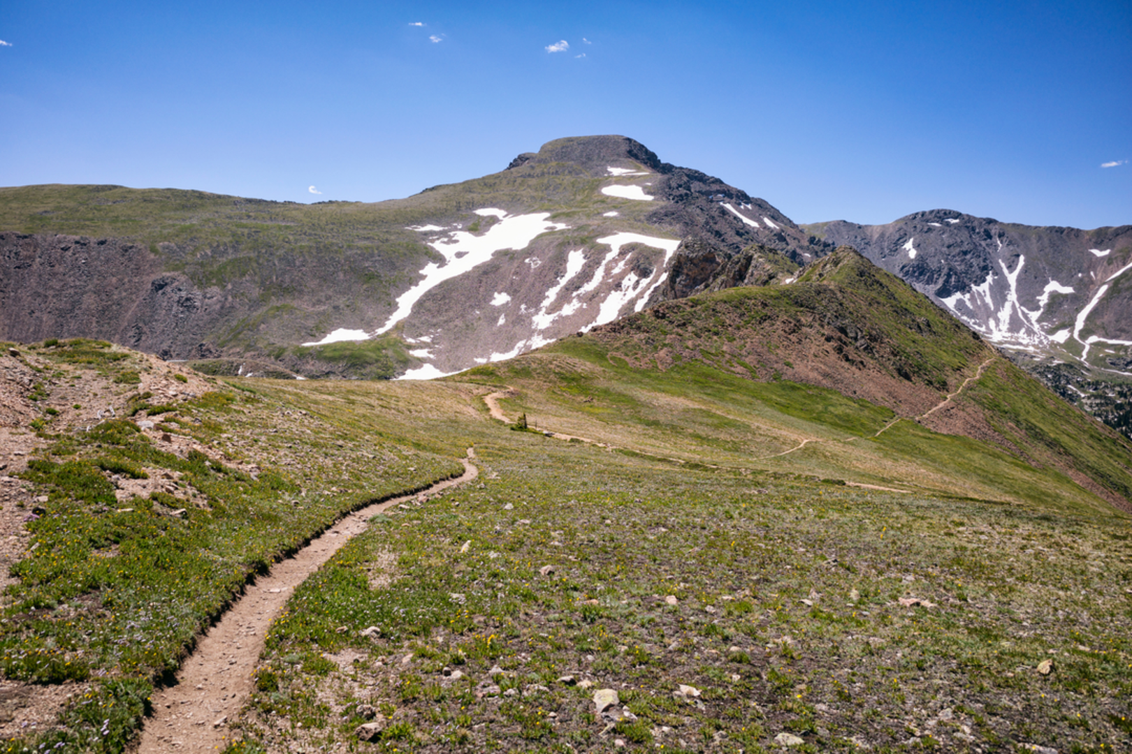 An image depicting the trail Rogers Pass Trail and its surrounding area.