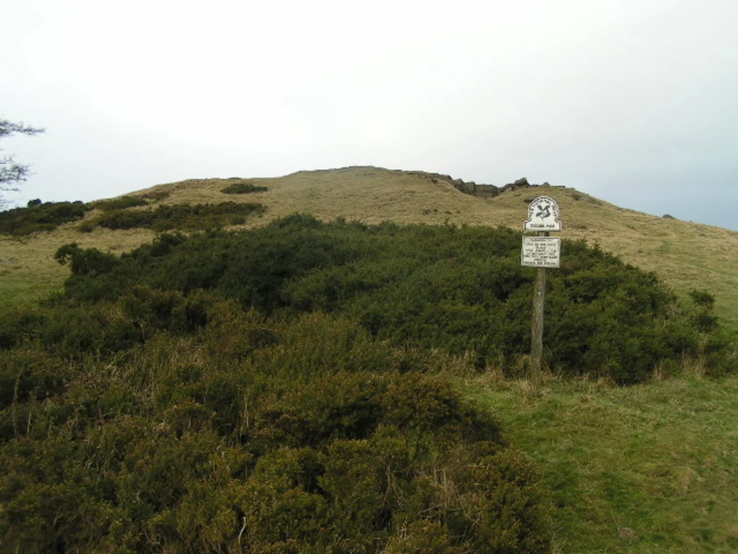An image depicting the trail Eccles Pike Walk and its surrounding area.