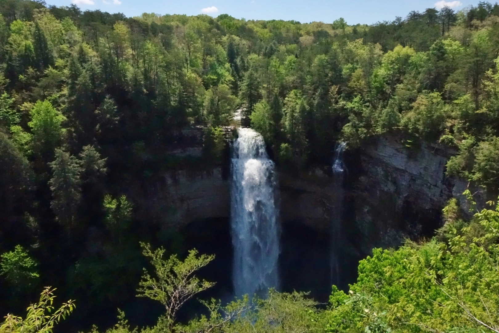 An image depicting the trail Rocky Point Overlook, Fall Creek and Coon Creek Falls Loop and its surrounding area.