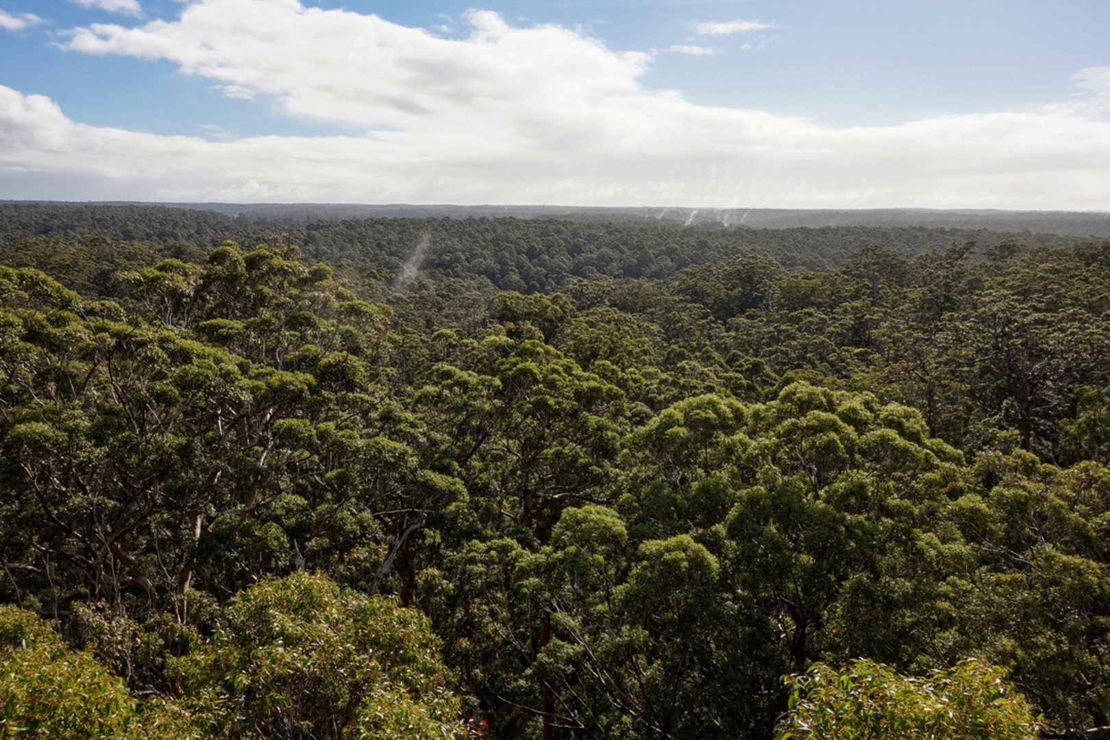 An image depicting the trail Warren Lookout Trail and its surrounding area.