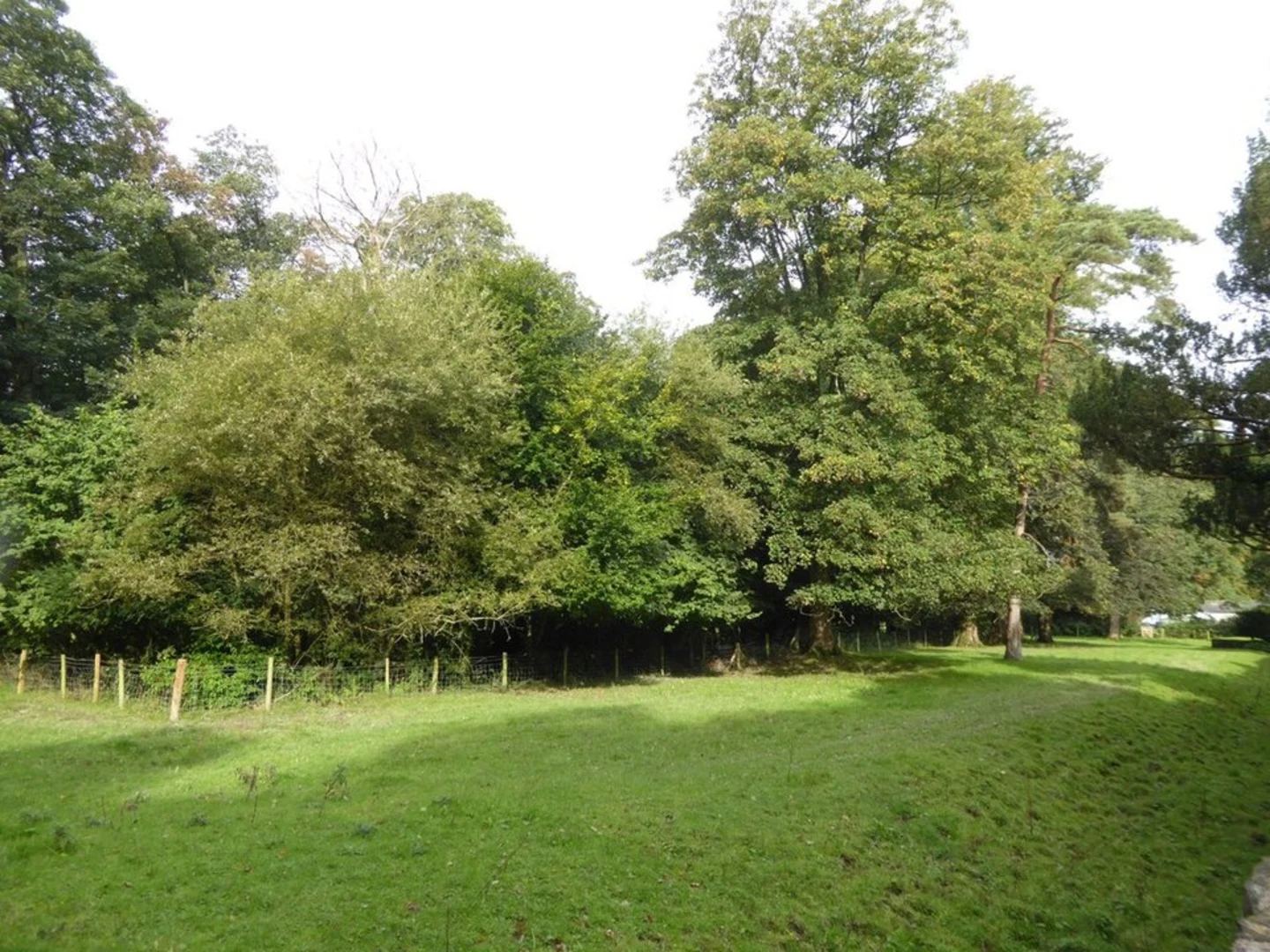 An image depicting the trail Levens Hall Loop and its surrounding area.
