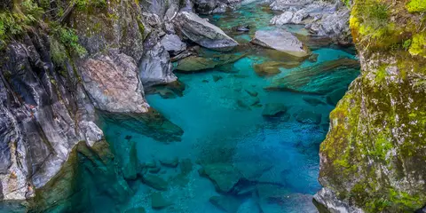 An image depicting the trail Young River Link Track and its surrounding area.