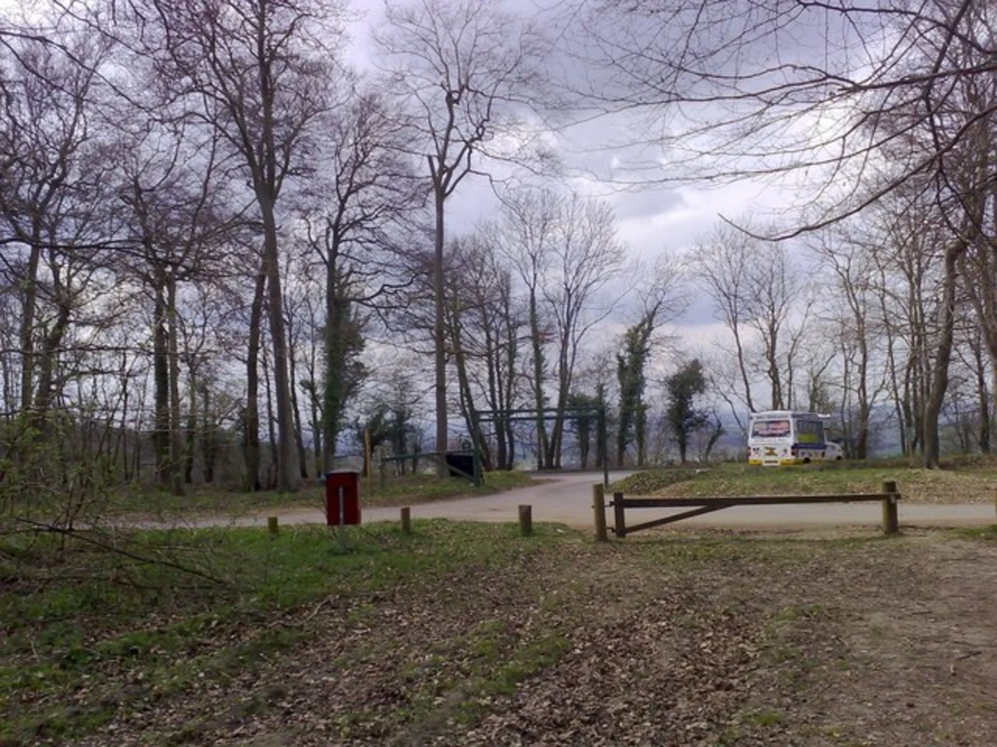 An image depicting the trail Christmas Common Loop and its surrounding area.