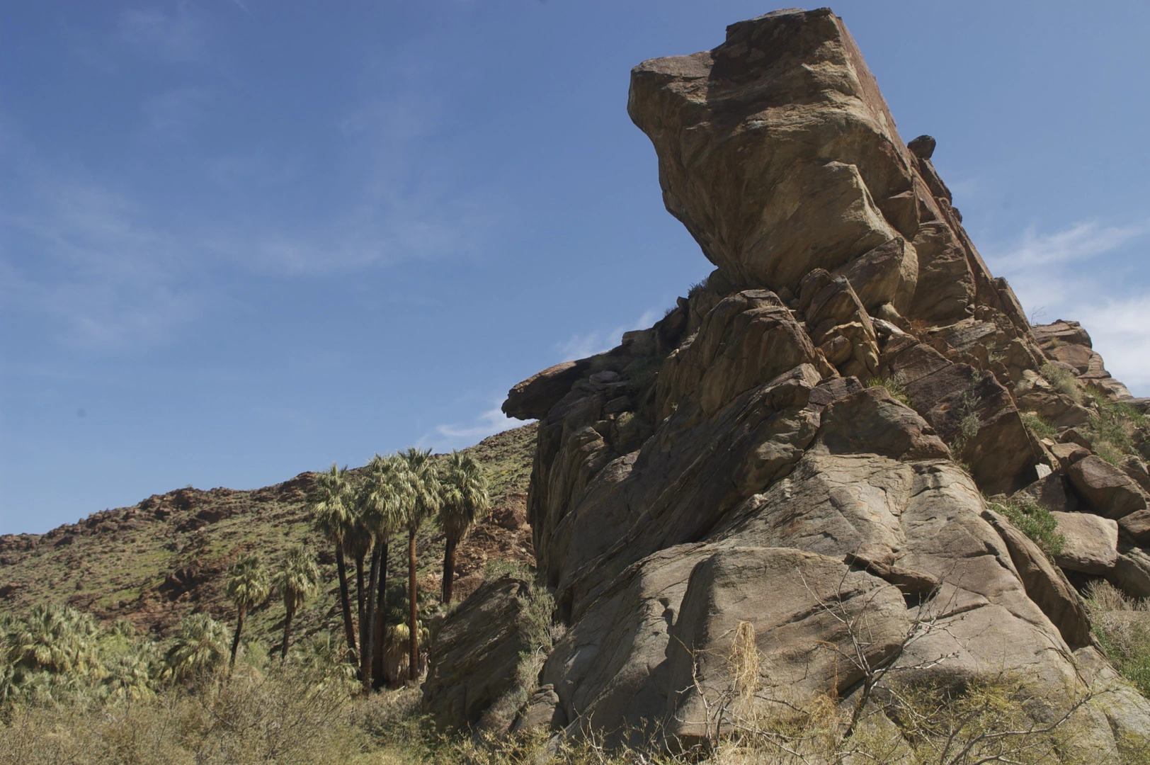 An image depicting the trail Palm Canyon Trail and Indian Potrero Trail and its surrounding area.