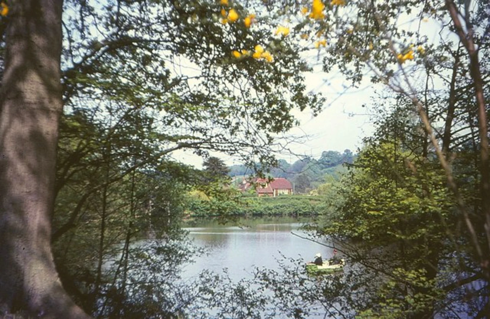 An image depicting the trail Busbridge Woods, Winkworth Arboretum and Busbridge Lakes Loop and its surrounding area.