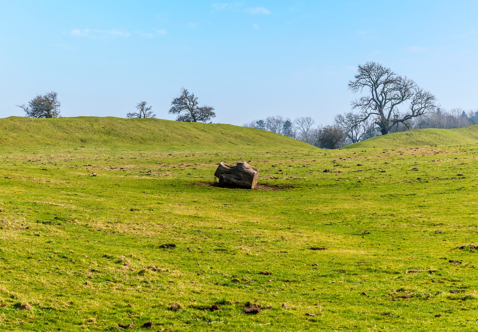 An image depicting the trail Burrough Hill and Little Dalby and its surrounding area.