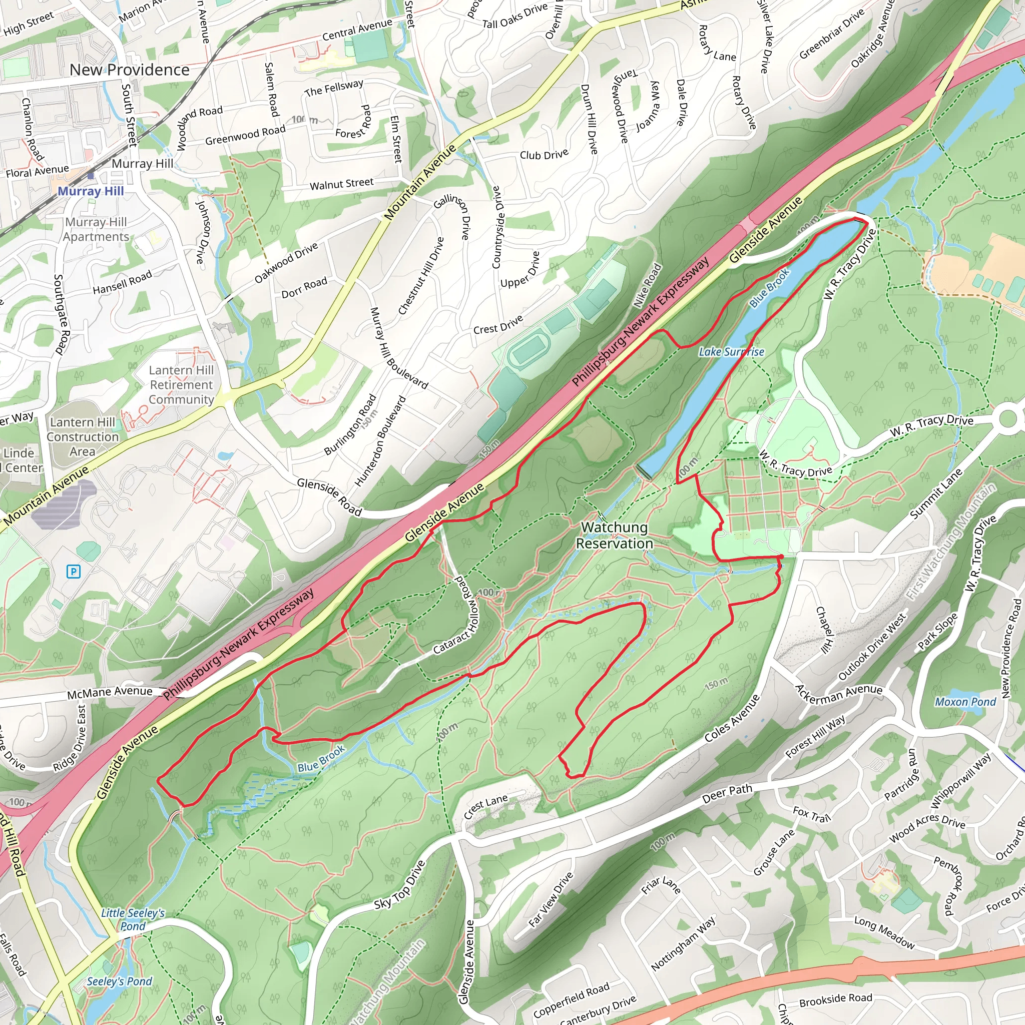 Lake Surprise - Purple Loop Trail mobile static map
