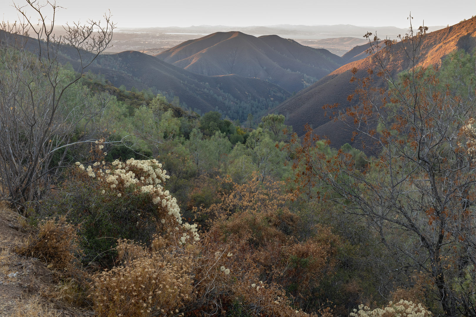 An image depicting the trail Mitchell Rock - Twin Peaks Loop and its surrounding area.