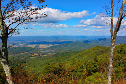 An image depicting the trail Hot Short Mountain via Pine Hill Gap Trail and its surrounding area.