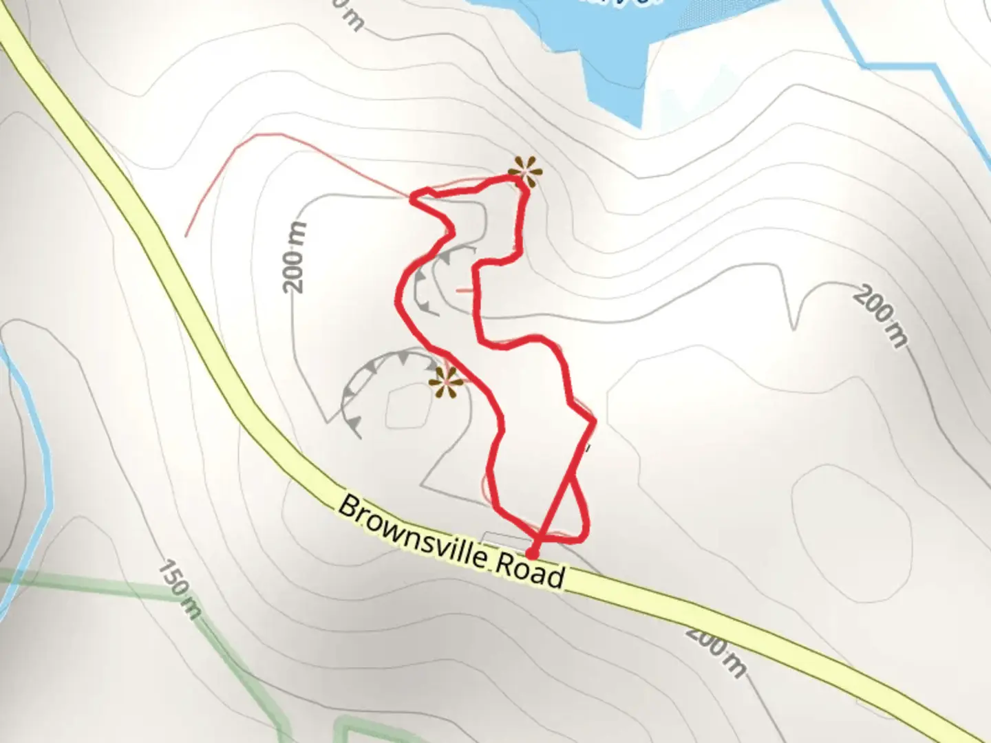 An image depicting the trail Brownsville Road Loop and its surrounding area.
