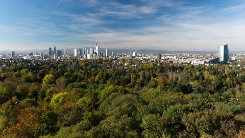 Fuchsplattweg and Sachsenhäuser Landwehrweg Loop