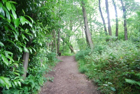 An image depicting the trail National Trust - Ightham Mote and Knole Loop and its surrounding area.