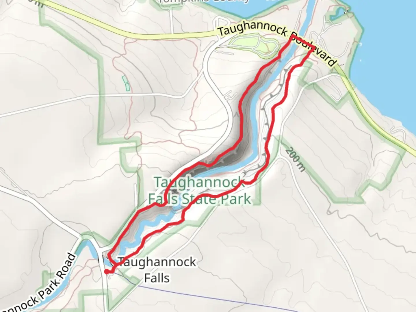 An image depicting the trail Taughannock Creek Loop Trail and its surrounding area.