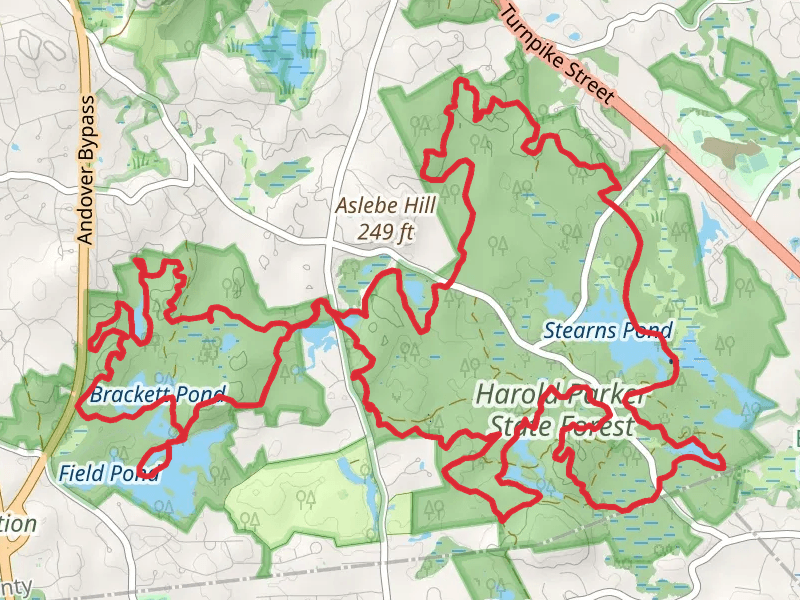 Delano Pond, Brackett Pond, Field Pond, Salem Pond and Sterns Pond Loop