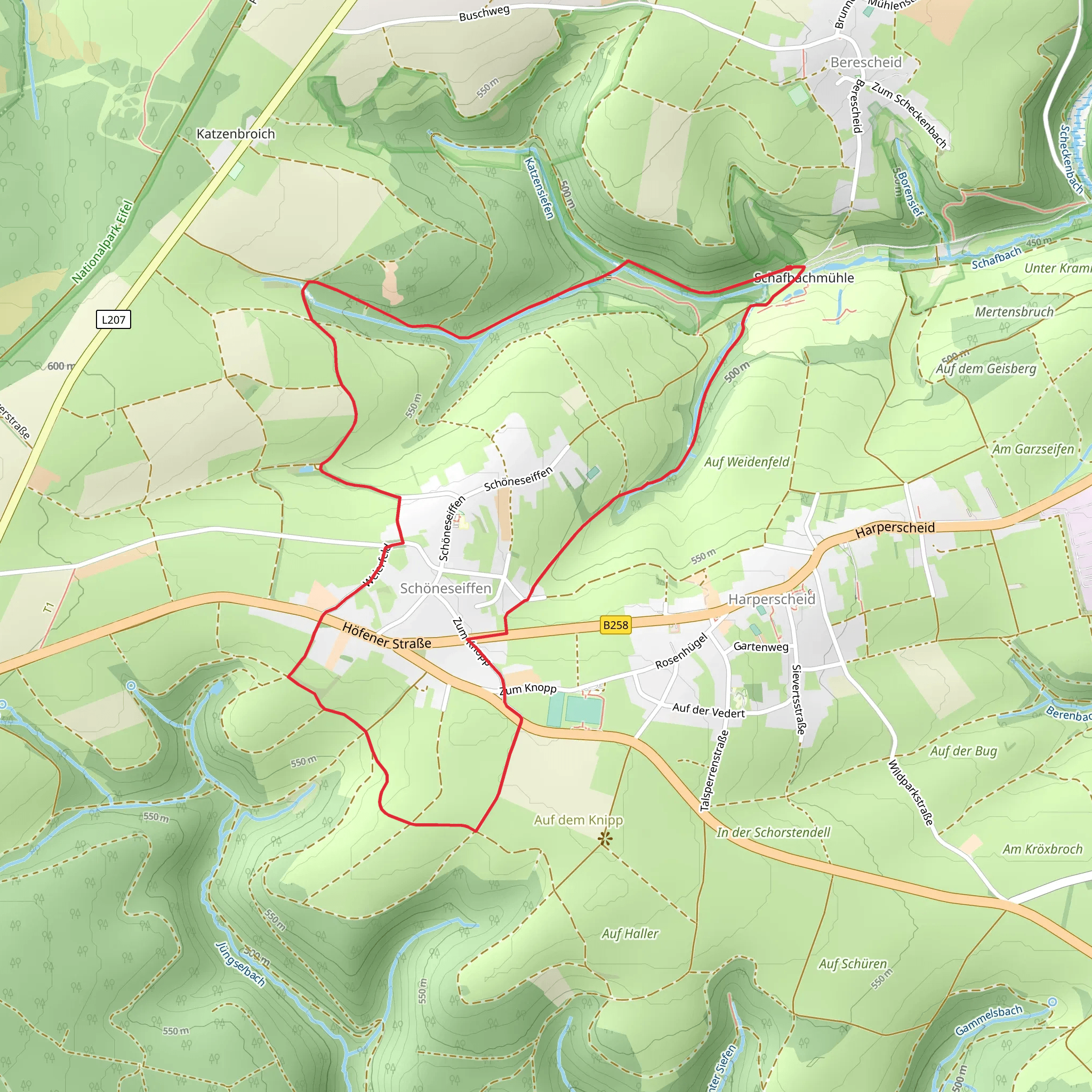 Schöneseiffen Loop via Schöneseiffen 3 mobile static map