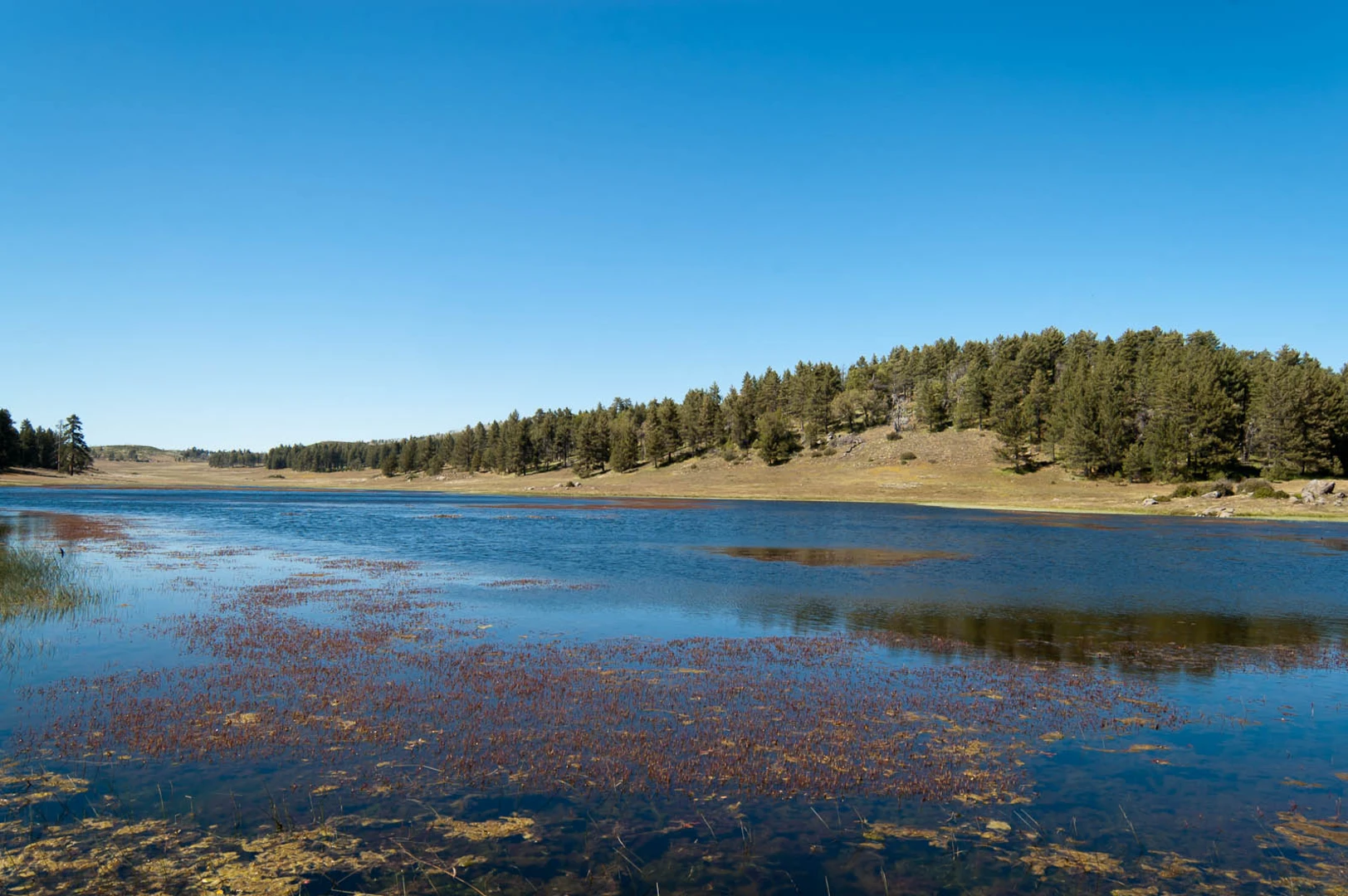 An image depicting the trail Water of the Woods Loop via Sunset Trail and its surrounding area.