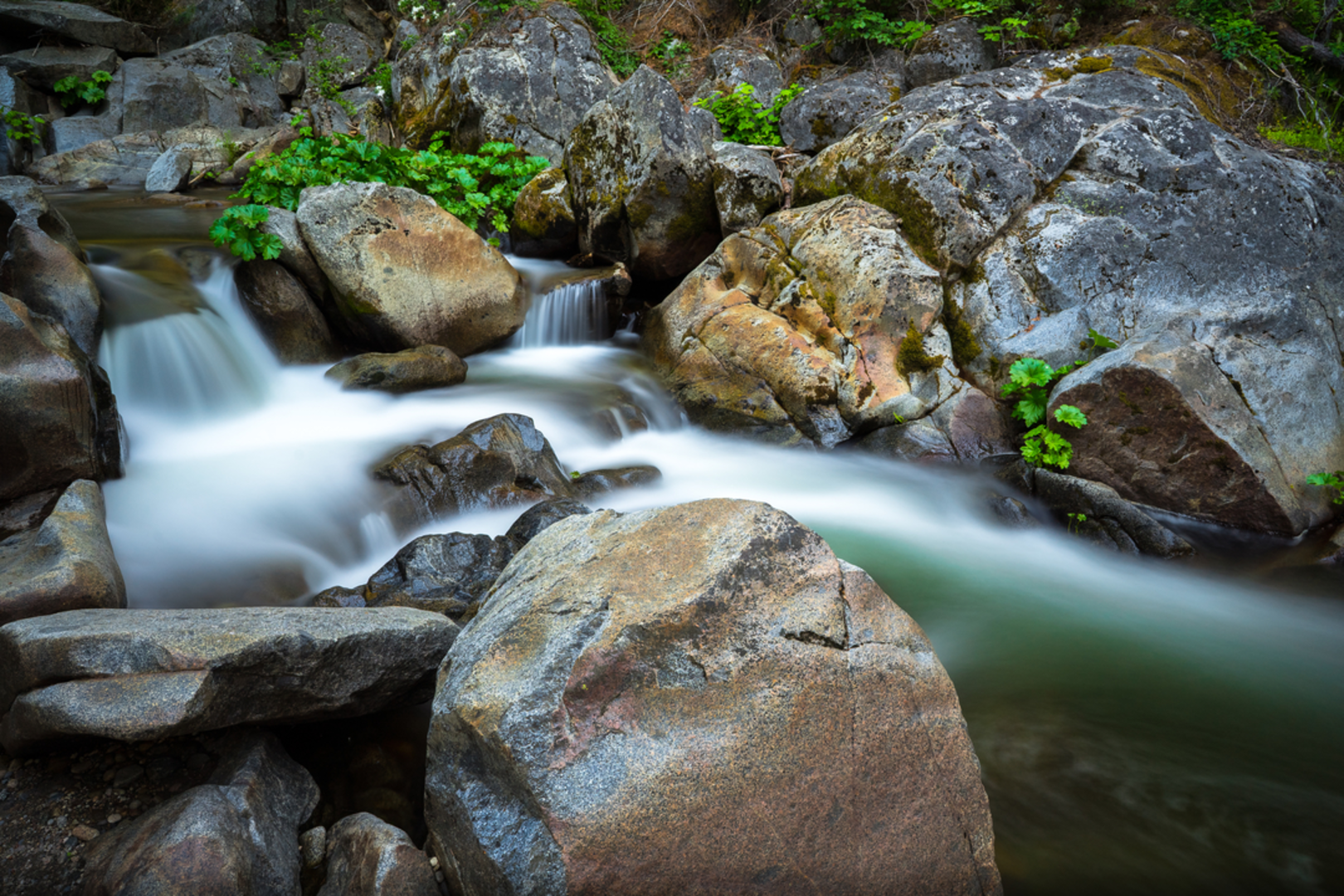 An image depicting the trail Carlon Campground via Carlon Falls Trail and its surrounding area.