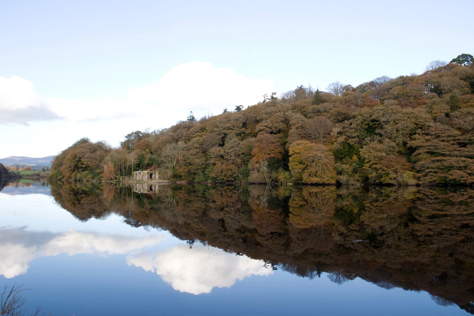 An image depicting the trail Glenshelane - Grotto Walk and its surrounding area.