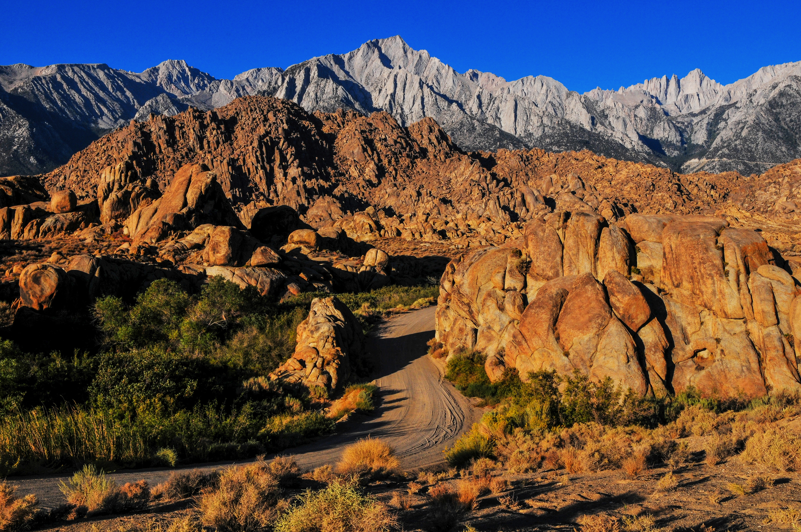 An image depicting the trail Lone Pine Creek and Hogback Creek Loop and its surrounding area.