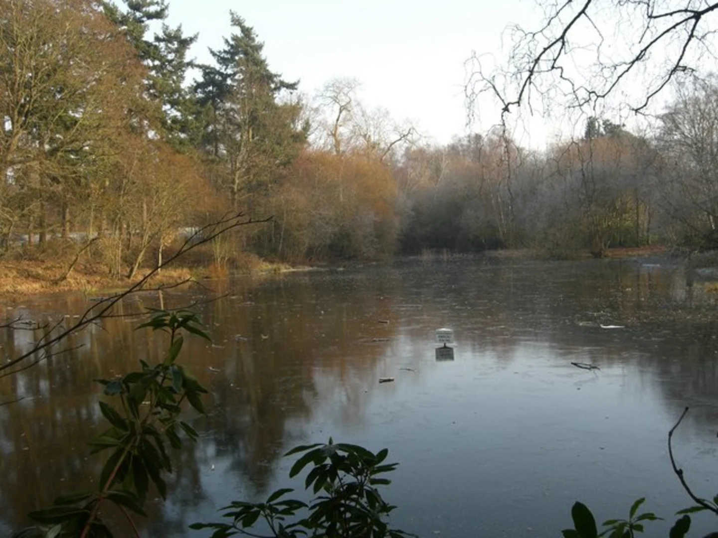 An image depicting the trail Lower Copse, Hazel Copse and Sirve Tree Copse Loop and its surrounding area.