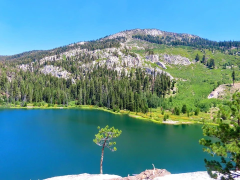 An image depicting the trail Iron Lake via Mammoth Trail and its surrounding area.