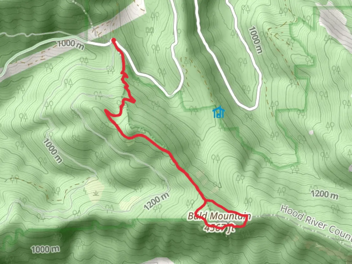 An image depicting the trail Bald Mountain Loop via PCT and its surrounding area.
