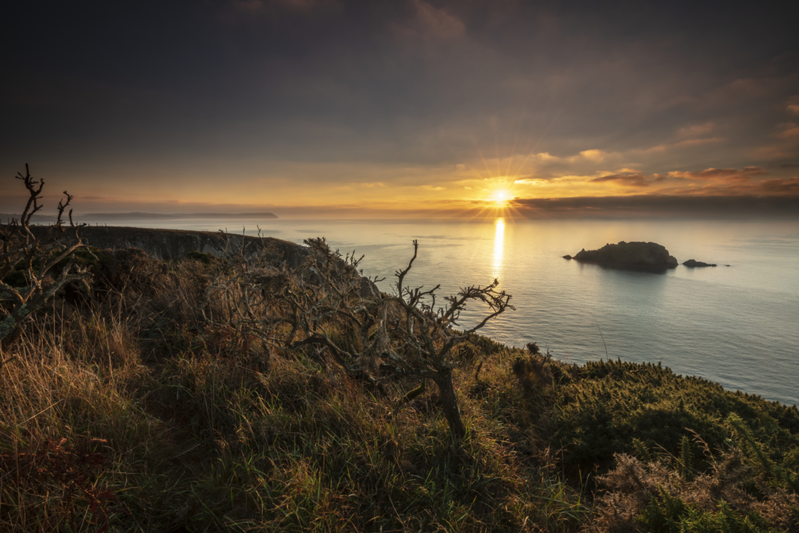 An image depicting the trail Nare Head Walk and its surrounding area.