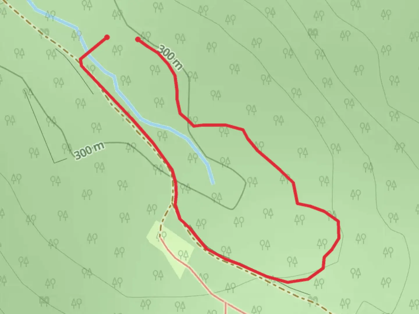 An image depicting the trail White Brook Road Loop and its surrounding area.