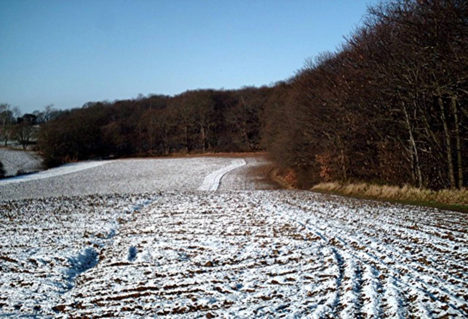 An image depicting the trail Roach Valley Way and its surrounding area.