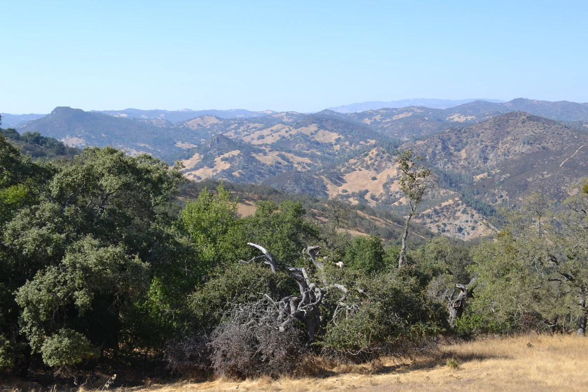 Wilson Peak Loop via Pacheco Falls Trail and Hunting Hollow