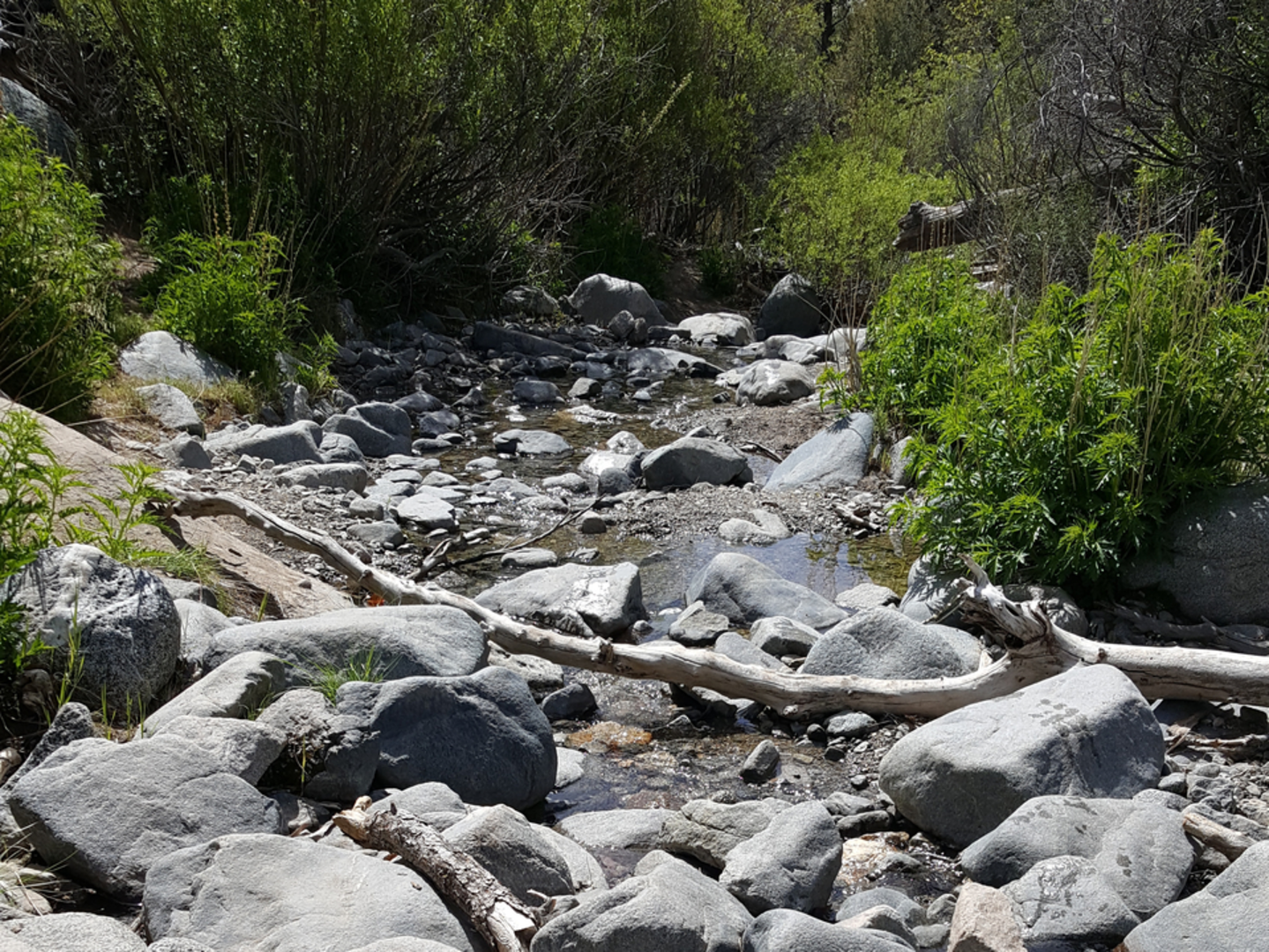 An image depicting the trail Burkhart Trail and its surrounding area.