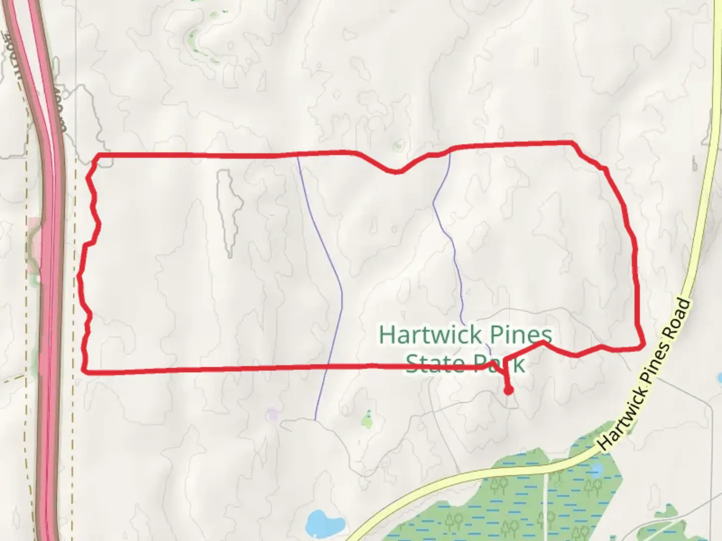 An image depicting the trail Hartwick Pines State Park Loop and its surrounding area.