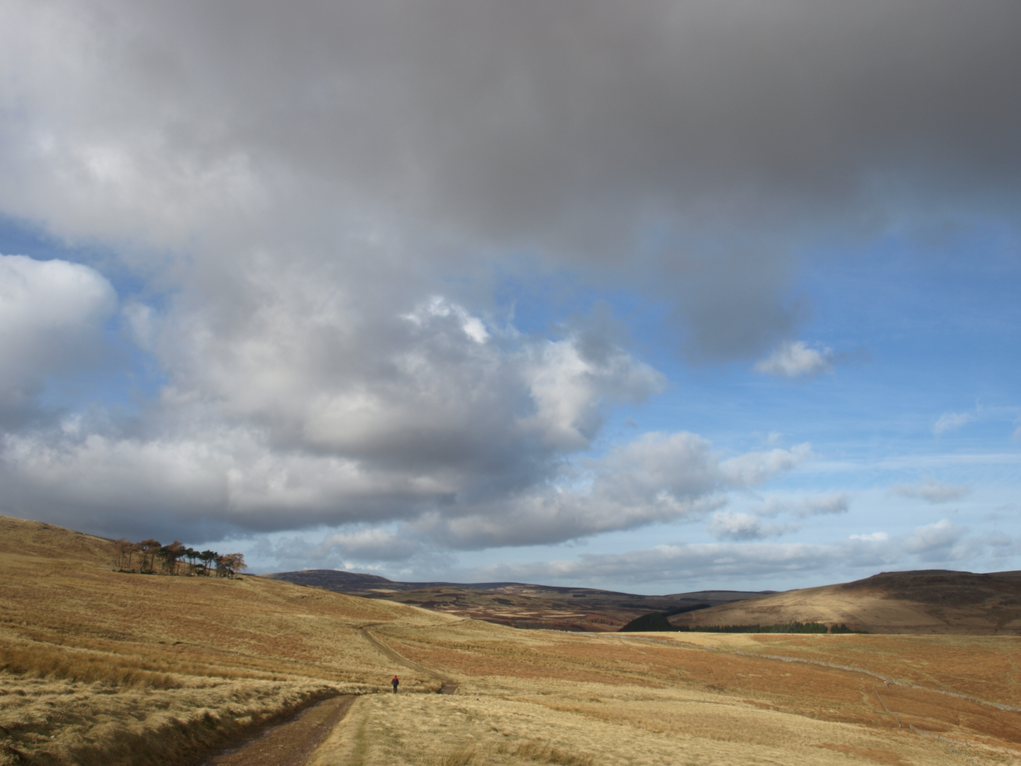 An image depicting the trail Humbleton Hillfort Walk and its surrounding area.