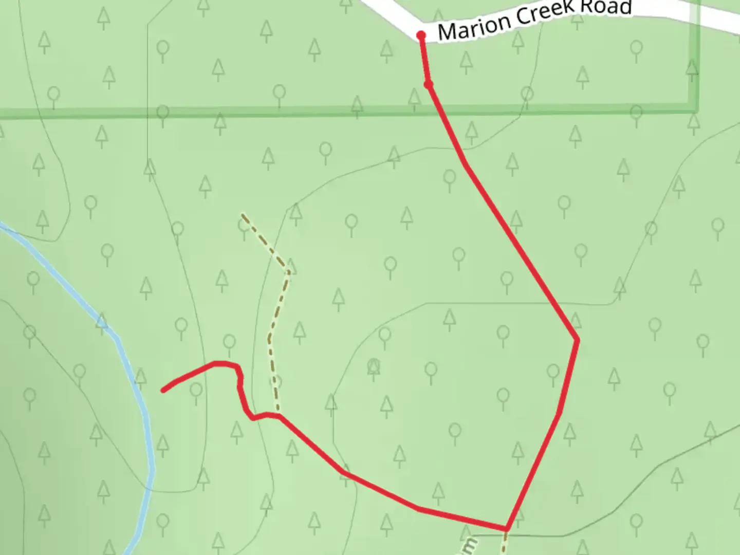 An image depicting the trail Marion Creek and its surrounding area.