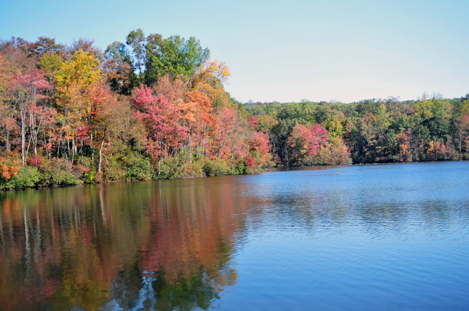 An image depicting the trail Chesnut Hill via Lenape Trail and Mill Creel Trail and its surrounding area.