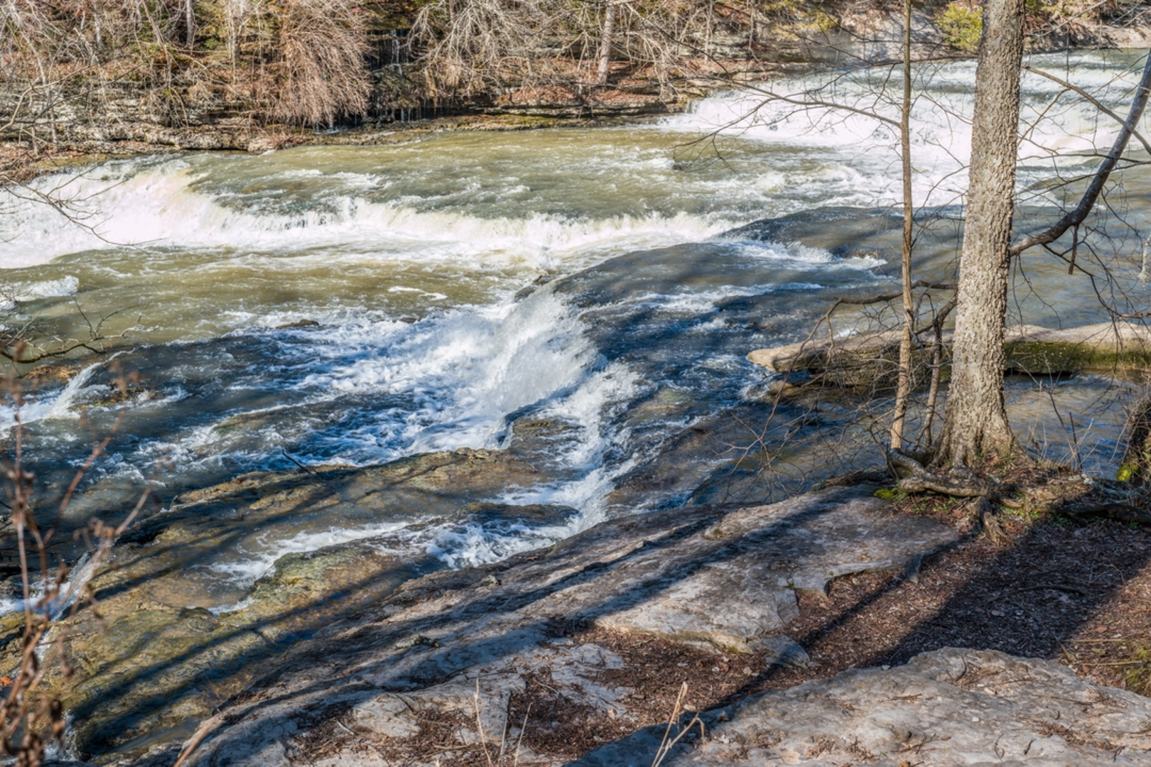 An image depicting the trail Burgess Falls Lake and its surrounding area.