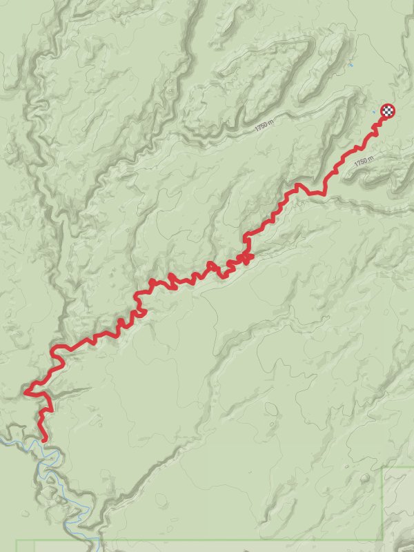 Little Death Hollow Trail Out and Back