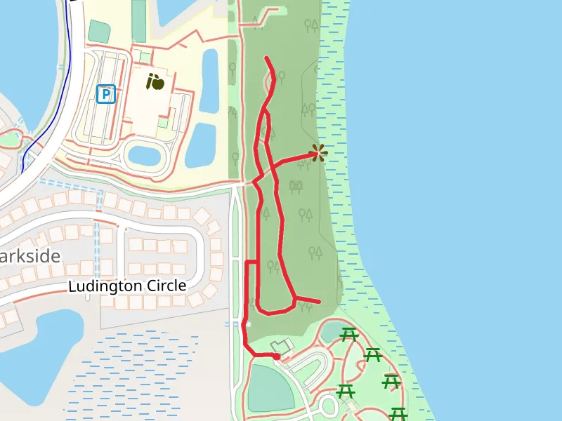 LongHorn Steakhouse Loop