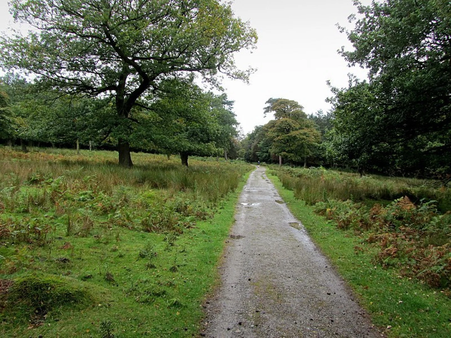 An image depicting the trail Longshaw Estate Loop via Woodland Explorer Walk and its surrounding area.