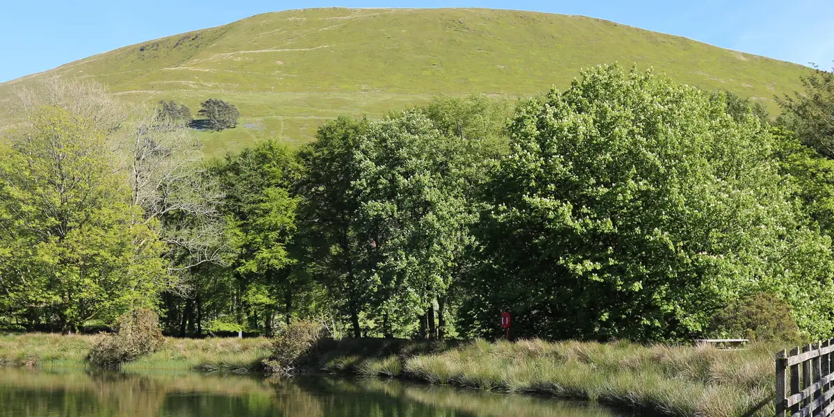 Minffordd Path to Cader Idris