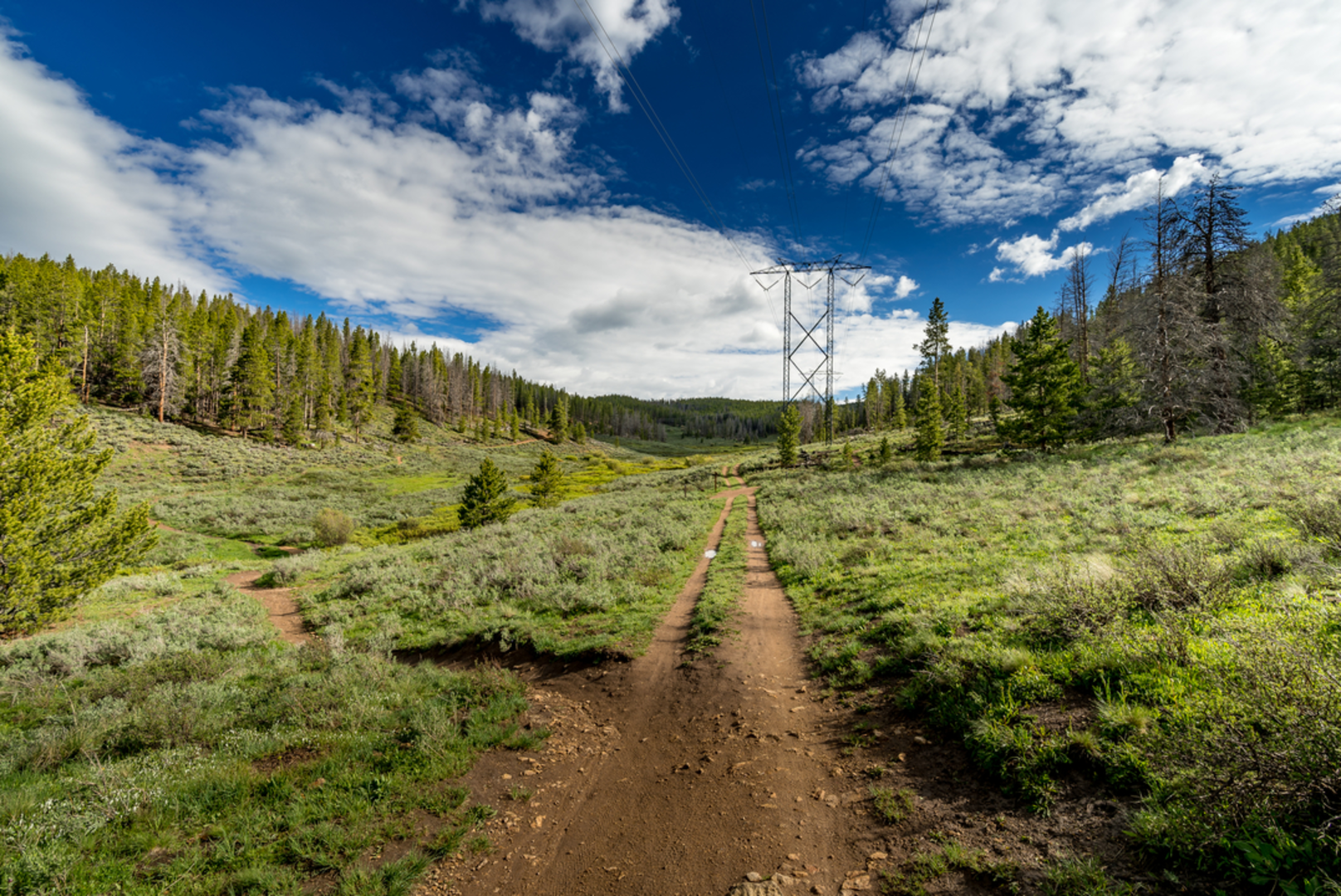 An image depicting the trail Horseshoe Gulch Trail and its surrounding area.