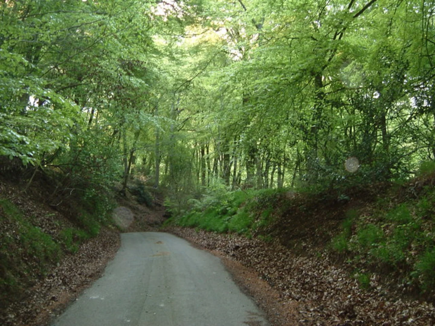 An image depicting the trail Wendover to Tring Walk and its surrounding area.