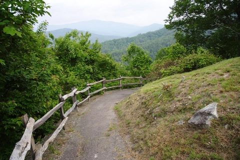 An image depicting the trail Pretty Hollow Gap Trail and its surrounding area.