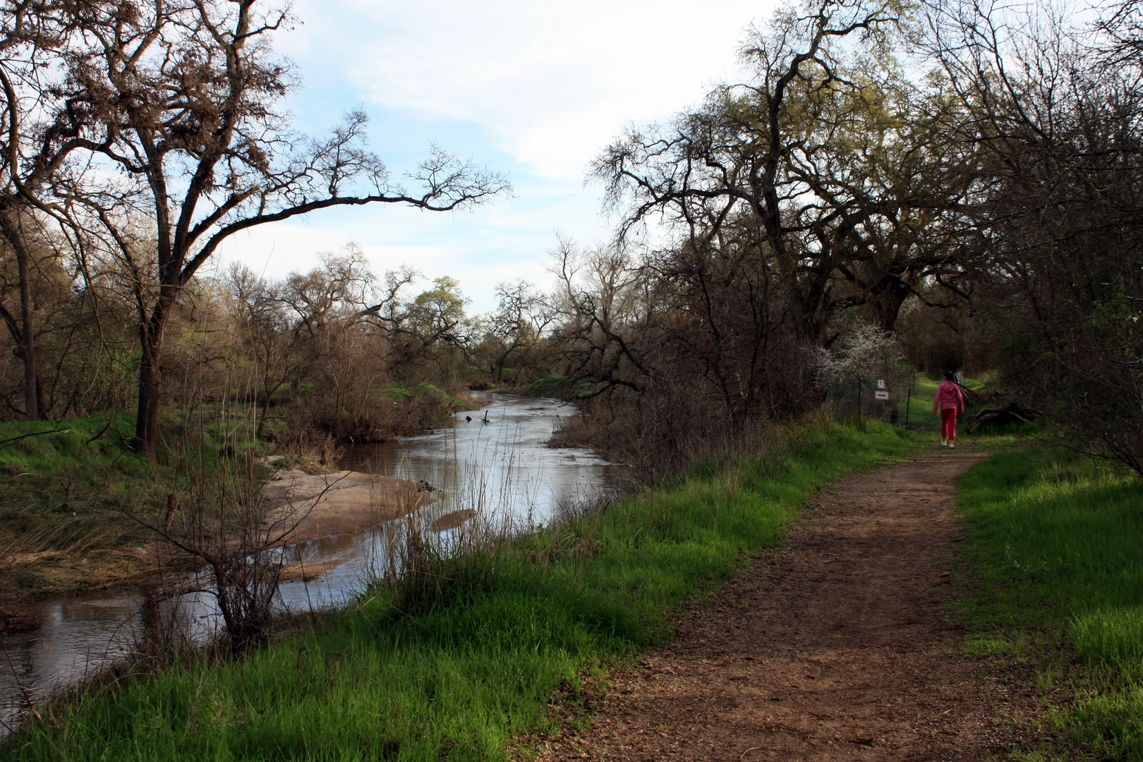 An image depicting the trail Gibson Lake and Dry Creek Loop and its surrounding area.