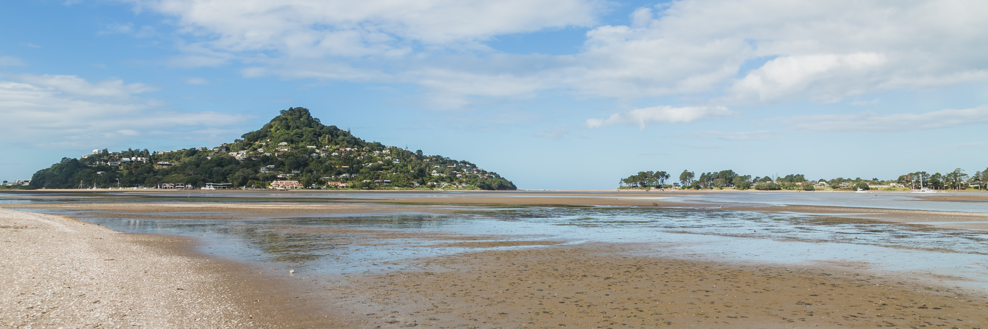 An image depicting the trail Mount Paku Summit Walk and its surrounding area.
